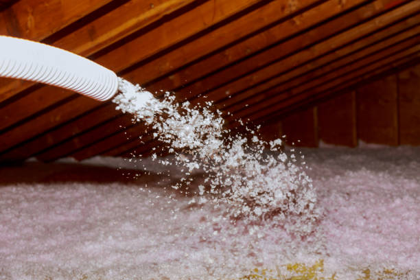 Best Insulation Installation Services in Clarksville, VA